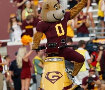 Wrap example for Gophers cart